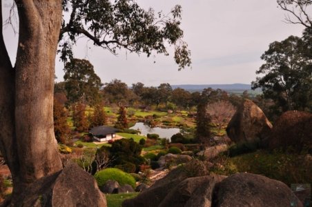 Japanese Gardens Cowra.024 12h16m43s2020 07 18 Japanese Gardens Cowra.024 12h16m43s2020 07 18
