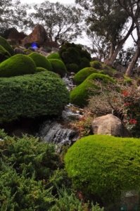 Japanese Gardens Cowra.029 12h20m06s2020 07 18 Japanese Gardens Cowra.029 12h20m06s2020 07 18