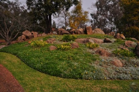 Japanese Gardens Cowra.033 12h25m18s2020 07 18 Japanese Gardens Cowra.033 12h25m18s2020 07 18