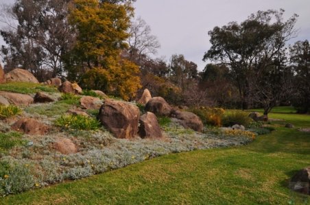 Japanese Gardens Cowra.034 12h25m22s2020 07 18 Japanese Gardens Cowra.034 12h25m22s2020 07 18