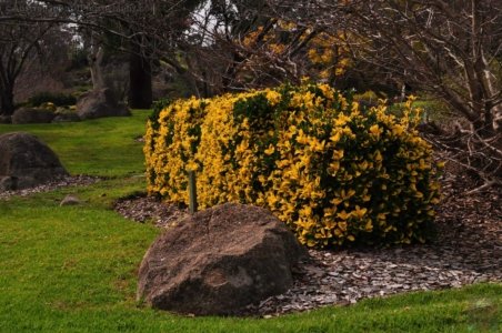 Japanese Gardens Cowra.035 12h27m14s2020 07 18 Japanese Gardens Cowra.035 12h27m14s2020 07 18