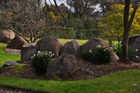 Japanese Gardens Cowra.044 12h30m07s2020 07 18 Japanese Gardens Cowra.044 12h30m07s2020 07 18