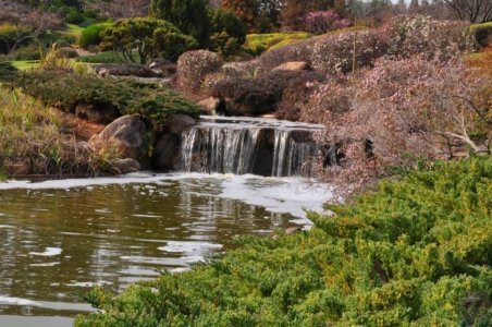 Japanese Gardens Cowra.053 12h35m29s2020 07 18 Japanese Gardens Cowra.053 12h35m29s2020 07 18