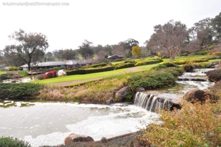 Japanese Gardens Cowra.054 12h36m01s2020 07 18 Japanese Gardens Cowra.054 12h36m01s2020 07 18