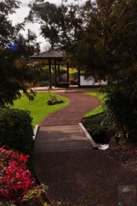 Japanese Gardens Cowra.067 12h44m52s2020 07 18 Japanese Gardens Cowra.067 12h44m52s2020 07 18