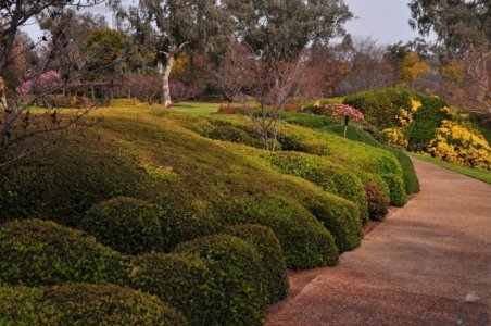 Japanese Gardens Cowra.068 12h47m24s2020 07 18 Japanese Gardens Cowra.068 12h47m24s2020 07 18