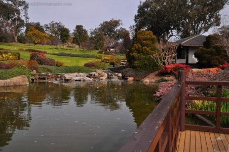 Japanese Gardens Cowra.079 13h07m32s2020 07 18 Japanese Gardens Cowra.079 13h07m32s2020 07 18