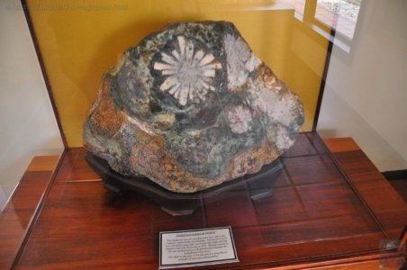 Japanese Gardens Cowra.098 13h16m34s2020 07 18 Japanese Gardens Cowra.098 13h16m34s2020 07 18