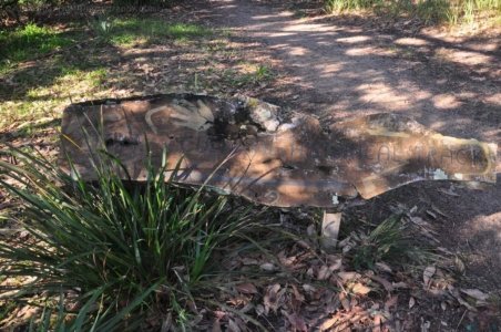 One Track For All Ulladulla.001 15h15m06s2020 07 09 One Track For All Ulladulla.001 15h15m06s2020 07 09