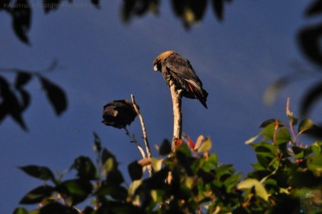 One Track For All Ulladulla.002 15h16m30s2020 07 09 One Track For All Ulladulla.002 15h16m30s2020 07 09