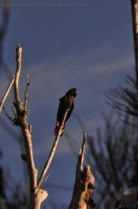 One Track For All Ulladulla.005 15h19m08s2020 07 09 One Track For All Ulladulla.005 15h19m08s2020 07 09