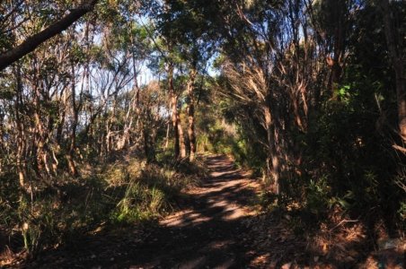 One Track For All Ulladulla.008 15h20m31s2020 07 09 One Track For All Ulladulla.008 15h20m31s2020 07 09