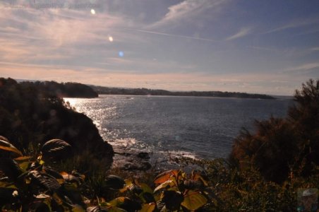 One Track For All Ulladulla.009 15h22m31s2020 07 09 One Track For All Ulladulla.009 15h22m31s2020 07 09