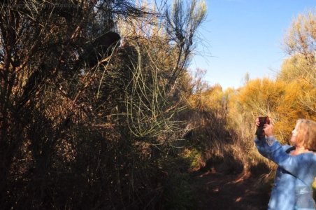 One Track For All Ulladulla.012 15h27m23s2020 07 09 One Track For All Ulladulla.012 15h27m23s2020 07 09