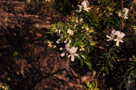 One Track For All Ulladulla.023 15h38m07s2020 07 09 One Track For All Ulladulla.023 15h38m07s2020 07 09