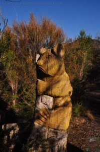 One Track For All Ulladulla.029 15h43m39s2020 07 09 One Track For All Ulladulla.029 15h43m39s2020 07 09