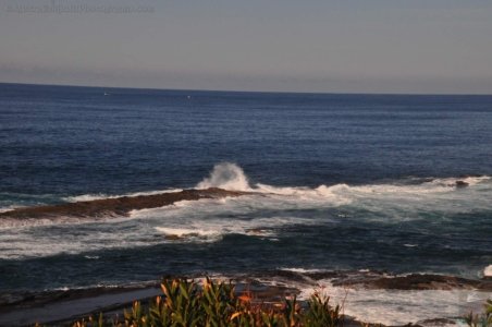 Warden Head Ulladulla.014 12h35m44s2020 07 09 Warden Head Ulladulla.014 12h35m44s2020 07 09