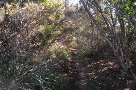 Warden Head Ulladulla.015 12h36m56s2020 07 09 Warden Head Ulladulla.015 12h36m56s2020 07 09