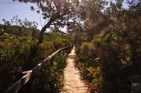 Warden Head Ulladulla.021 12h41m33s2020 07 09 Warden Head Ulladulla.021 12h41m33s2020 07 09