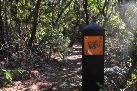 Warden Head Ulladulla.028 12h49m06s2020 07 09 Warden Head Ulladulla.028 12h49m06s2020 07 09