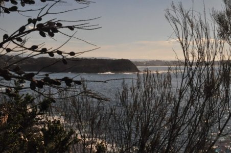 Warden Head Ulladulla.034 13h01m05s2020 07 09 Warden Head Ulladulla.034 13h01m05s2020 07 09