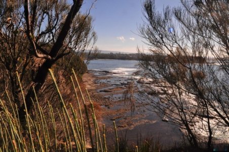 Warden Head Ulladulla.036 13h02m14s2020 07 09 Warden Head Ulladulla.036 13h02m14s2020 07 09