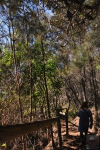 Warden Head Ulladulla.037 13h09m29s2020 07 09 Warden Head Ulladulla.037 13h09m29s2020 07 09