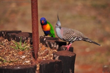 Hampton.014 15h07m42s2020 09 09 Hampton.014 15h07m42s2020 09 09