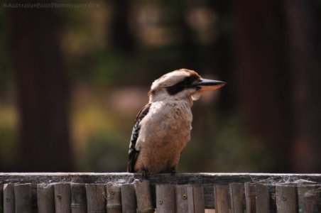 Hampton.030 11h49m11s2020 09 12 Hampton.030 11h49m11s2020 09 12