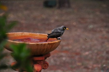 Hampton.034 13h52m54s2020 09 13 Hampton.034 13h52m54s2020 09 13