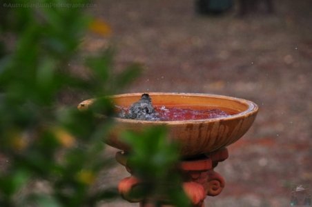 Hampton.035 13h53m09s2020 09 13 Hampton.035 13h53m09s2020 09 13