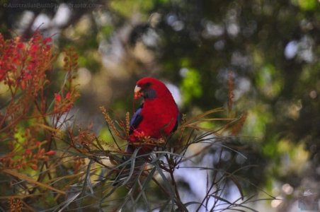 Hampton.043 10h56m11s2020 09 14 Hampton.043 10h56m11s2020 09 14