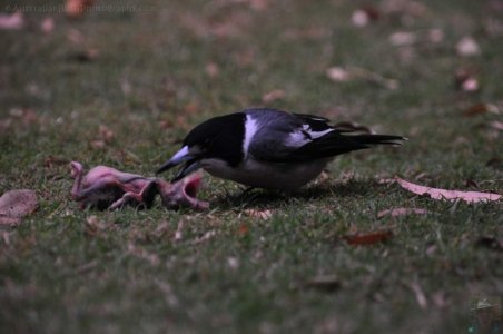 Hampton.068 17h18m15s2020 09 15 Hampton.068 17h18m15s2020 09 15