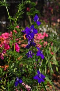 Hampton.079 14h23m14s2020 09 19 Hampton.079 14h23m14s2020 09 19