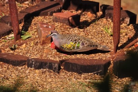 Hampton.113 14h09m17s2020 09 21 Hampton.113 14h09m17s2020 09 21