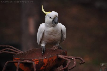 Hampton.118 14h15m34s2020 09 21 Hampton.118 14h15m34s2020 09 21