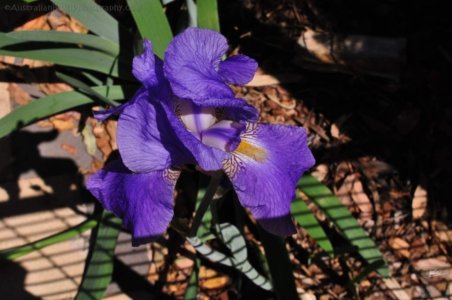 Hampton.140 11h30m47s2020 09 24 Hampton.140 11h30m47s2020 09 24