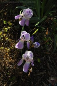 Hampton.141 11h31m47s2020 09 24 Hampton.141 11h31m47s2020 09 24