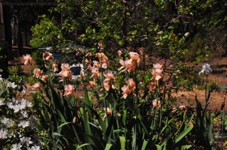 Hampton.144 11h33m34s2020 09 24 Hampton.144 11h33m34s2020 09 24