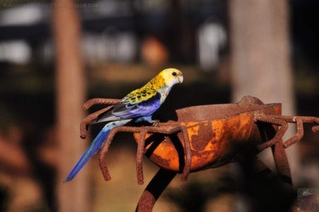 Hampton.155 15h58m04s2020 09 24 Hampton.155 15h58m04s2020 09 24