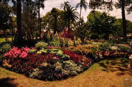 Laurel Bank Park Toooomba.023 11h30m24s2020 09 23 Laurel Bank Park Toooomba.023 11h30m24s2020 09 23