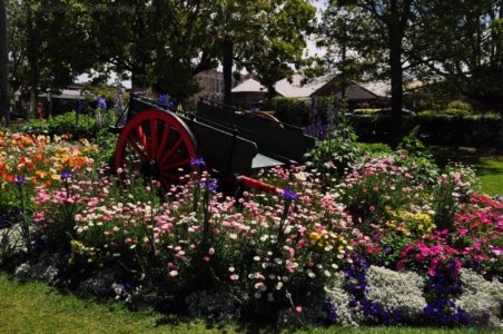 Laurel Bank Park Toooomba.026 11h32m42s2020 09 23 Laurel Bank Park Toooomba.026 11h32m42s2020 09 23