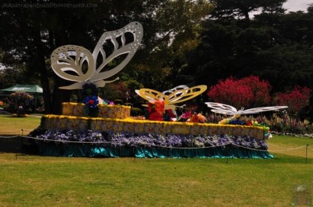 Laurel Bank Park Toooomba.040 11h47m38s2020 09 23 Laurel Bank Park Toooomba.040 11h47m38s2020 09 23