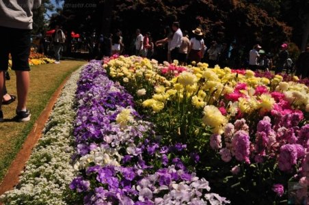 Queens Park.005 11h40m22s2020 09 27 Queens Park.005 11h40m22s2020 09 27