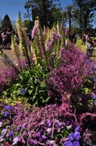 Queens Park.013 11h51m13s2020 09 27 Queens Park.013 11h51m13s2020 09 27