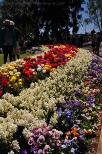 Queens Park.024 11h57m39s2020 09 27 Queens Park.024 11h57m39s2020 09 27