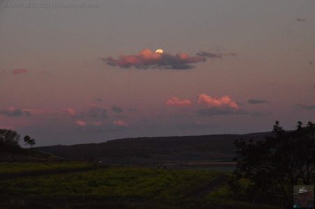 DSC 0560 DSC 0560