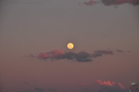 DSC 0564 DSC 0564