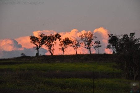 DSC 0566 DSC 0566