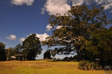 Gus Beutel Lookout and Walk.005 11h38m39s2020 09 14 Gus Beutel Lookout and Walk.005 11h38m39s2020 09 14